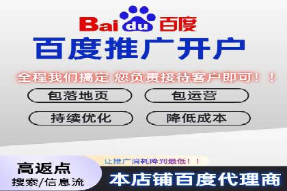 社交平台信息流广告推广的典型案例分析